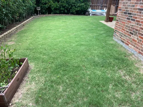 photo at Flower Mound, TX on Aug 31, 2023: Lawn Care Program Client - 7 application program. 